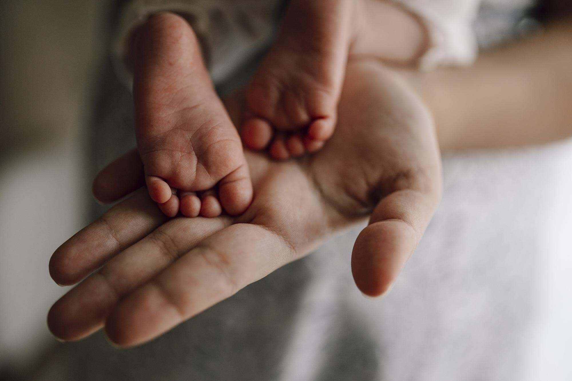 Voetjes van een pasgeboren baby in de hand van een ouder